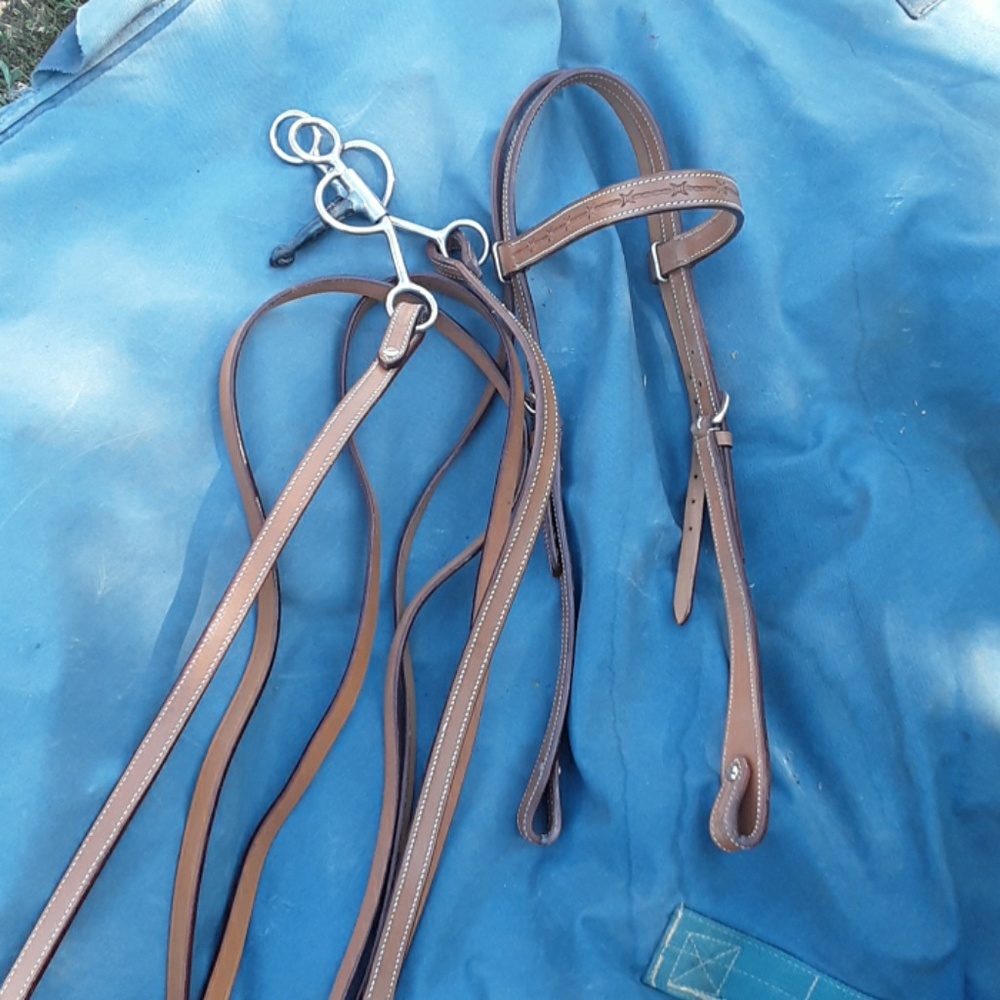 Western Head stall
